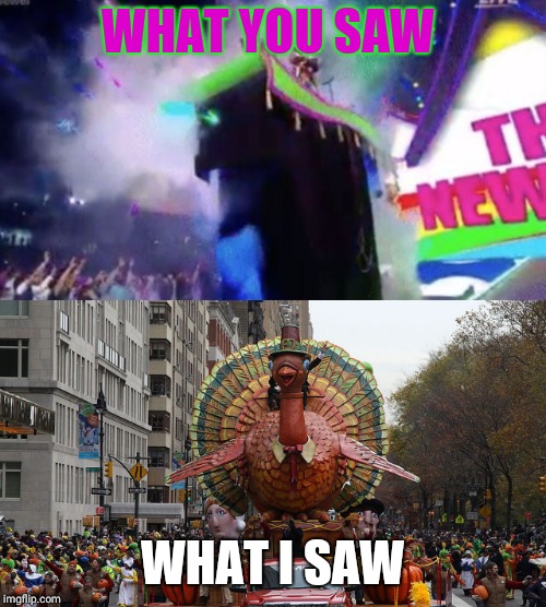 New day entrance crown jewel meme | WHAT YOU SAW; WHAT I SAW | image tagged in wwe,memes,funny,parade,thanksgiving,new day | made w/ Imgflip meme maker