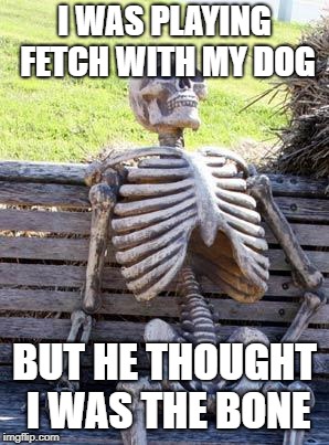 Waiting Skeleton | I WAS PLAYING FETCH WITH MY DOG; BUT HE THOUGHT I WAS THE BONE | image tagged in memes,waiting skeleton | made w/ Imgflip meme maker