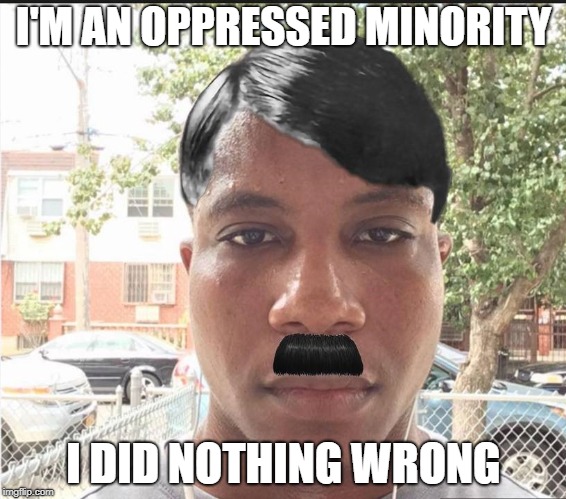 Oppressed | I'M AN OPPRESSED MINORITY; I DID NOTHING WRONG | image tagged in nazi | made w/ Imgflip meme maker