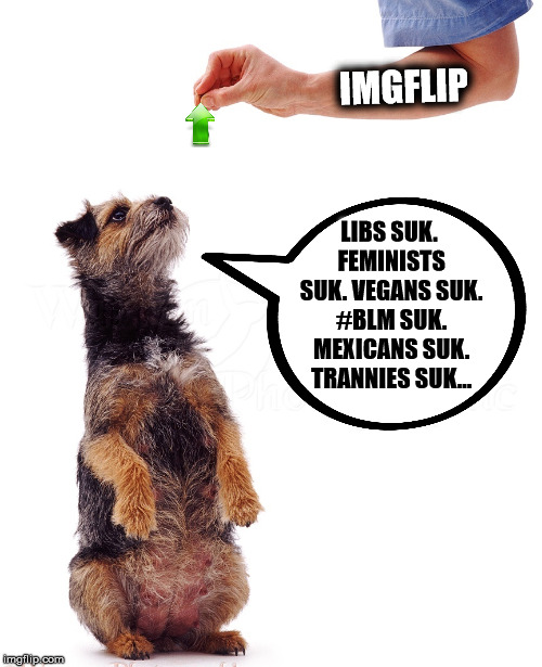 How to Make the Front Page | IMGFLIP; LIBS SUK. FEMINISTS SUK. VEGANS SUK. #BLM SUK. MEXICANS SUK. TRANNIES SUK... | image tagged in memes,imgflip,front page,scumbag,imgflip users,upvote | made w/ Imgflip meme maker