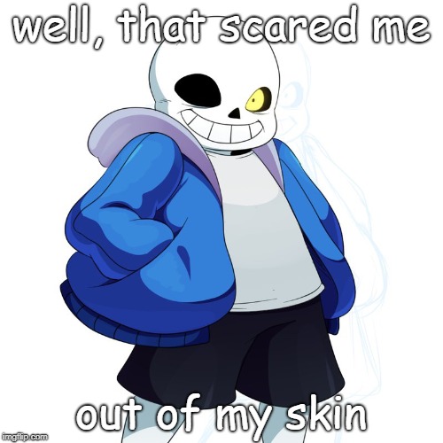 Sans Undertale | well, that scared me out of my skin | image tagged in sans undertale | made w/ Imgflip meme maker