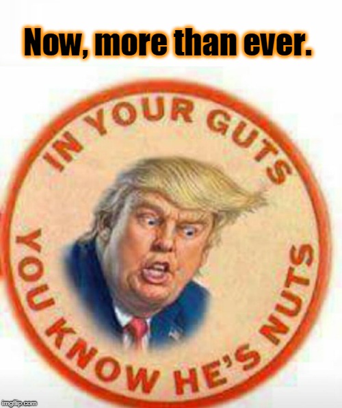 C'mon, admit it. | Now, more than ever. | image tagged in trump,nuts,crazy,unhinged,deranged,insane | made w/ Imgflip meme maker