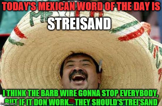 Happy Mexican | TODAY'S MEXICAN WORD OF THE DAY IS I THINK THE BARB WIRE GONNA STOP EVERYBODY, BUT IF IT DON WORK... THEY SHOULD'S'TREI'SAND STREISAND | image tagged in happy mexican | made w/ Imgflip meme maker