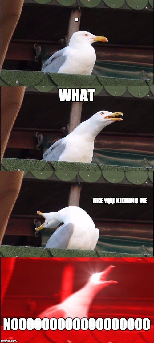 Inhaling Seagull Meme | . WHAT; ARE YOU KIDDING ME; NOOOOOOOOOOOOOOOOOO | image tagged in memes,inhaling seagull | made w/ Imgflip meme maker