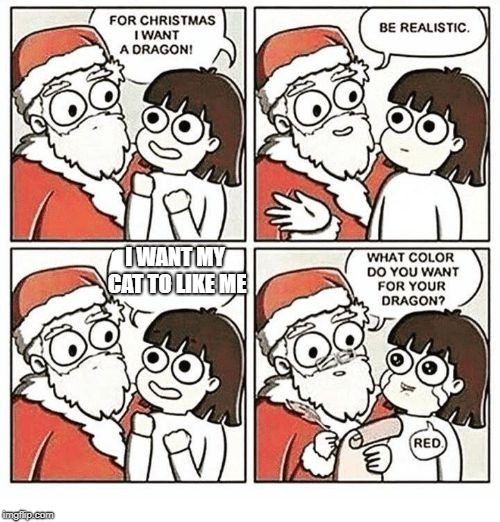 For Christmas I Want |  I WANT MY CAT TO LIKE ME | image tagged in for christmas i want | made w/ Imgflip meme maker