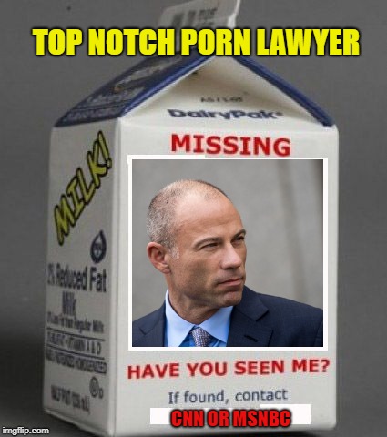 Milk carton | TOP NOTCH PORN LAWYER; CNN OR MSNBC | image tagged in milk carton | made w/ Imgflip meme maker
