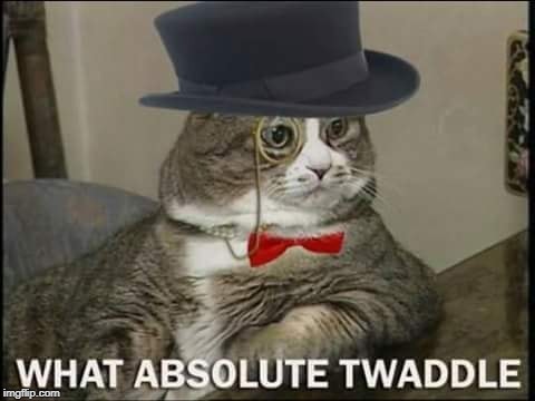Twaddle | image tagged in twaddle,cat | made w/ Imgflip meme maker