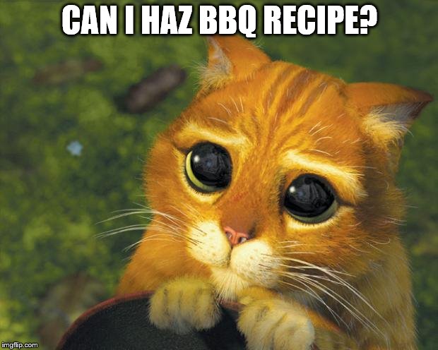 puss in boots | CAN I HAZ BBQ RECIPE? | image tagged in puss in boots | made w/ Imgflip meme maker
