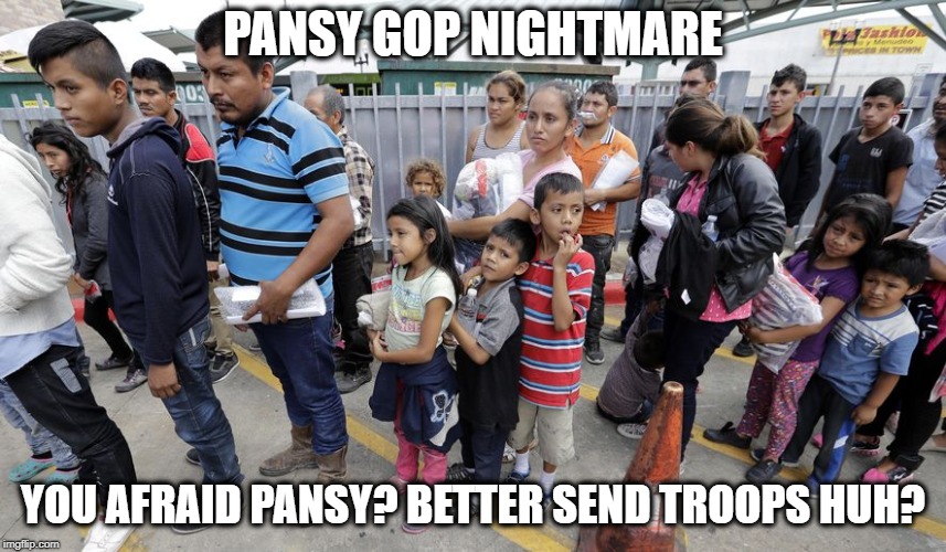 PANSY GOP NIGHTMARE YOU AFRAID PANSY? BETTER SEND TROOPS HUH? | made w/ Imgflip meme maker