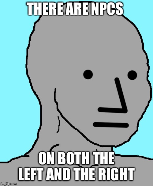 NPC Meme | THERE ARE NPCS; ON BOTH THE LEFT AND THE RIGHT | image tagged in npc | made w/ Imgflip meme maker