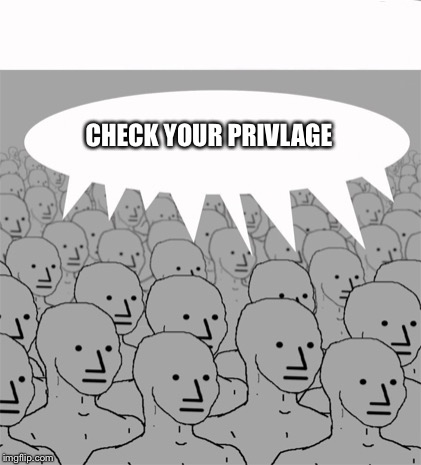 NPCProgramScreed | CHECK YOUR PRIVLAGE | image tagged in npcprogramscreed | made w/ Imgflip meme maker
