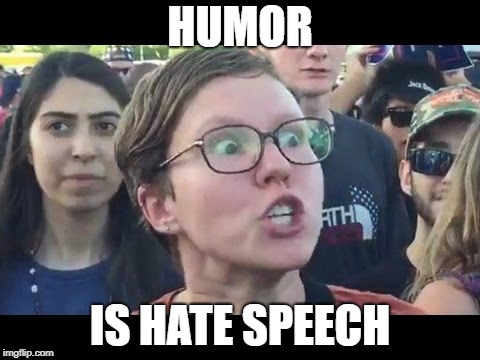 Angry sjw | HUMOR IS HATE SPEECH | image tagged in angry sjw | made w/ Imgflip meme maker