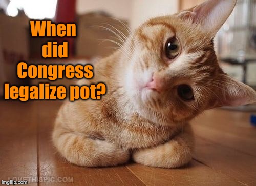 Curious Question Cat | When did Congress legalize pot? | image tagged in curious question cat | made w/ Imgflip meme maker
