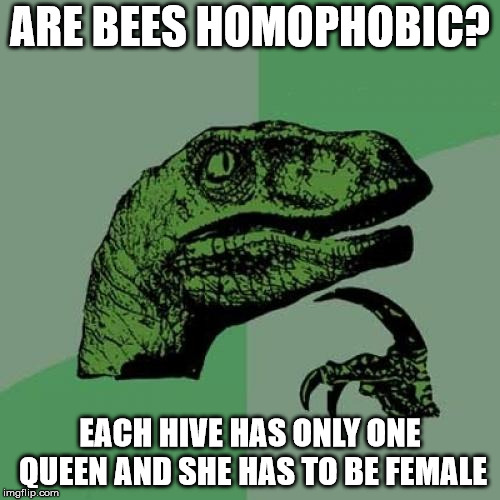 Honey of a thought... | ARE BEES HOMOPHOBIC? EACH HIVE HAS ONLY ONE QUEEN AND SHE HAS TO BE FEMALE | image tagged in memes,philosoraptor,homophobic | made w/ Imgflip meme maker