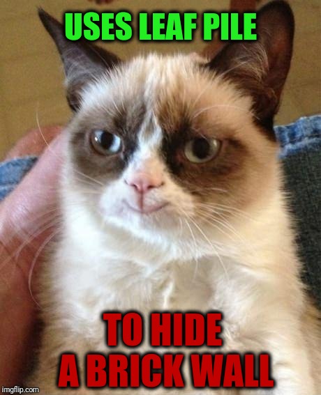 USES LEAF PILE TO HIDE A BRICK WALL | image tagged in grumpy cat smile,scumbag | made w/ Imgflip meme maker