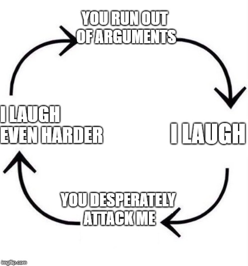 the circle of life | YOU RUN OUT OF ARGUMENTS; I LAUGH EVEN HARDER; I LAUGH; YOU DESPERATELY ATTACK ME | image tagged in the circle of life | made w/ Imgflip meme maker