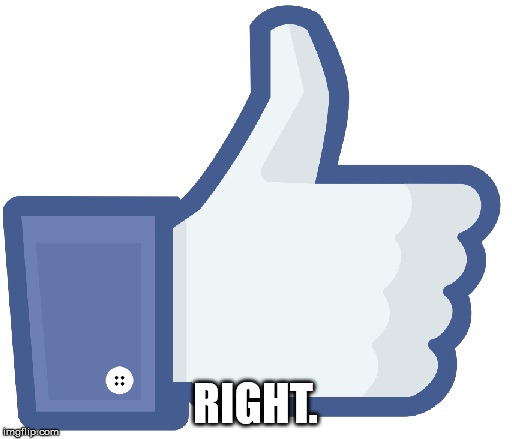 Facebook Like Button | RIGHT. | image tagged in facebook like button | made w/ Imgflip meme maker