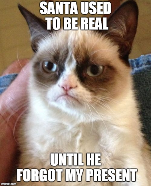 Happy Holidays | SANTA USED TO BE REAL; UNTIL HE FORGOT MY PRESENT | image tagged in memes,grumpy cat | made w/ Imgflip meme maker