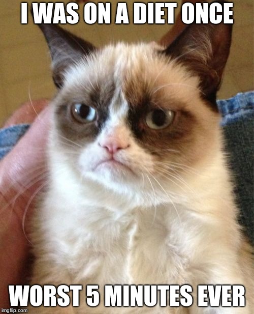 Grumpy Cat Meme | I WAS ON A DIET ONCE; WORST 5 MINUTES EVER | image tagged in memes,grumpy cat | made w/ Imgflip meme maker