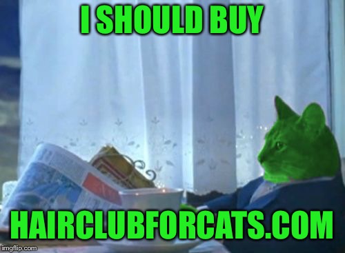 I Should Buy a Boat RayCat | I SHOULD BUY HAIRCLUBFORCATS.COM | image tagged in i should buy a boat raycat | made w/ Imgflip meme maker