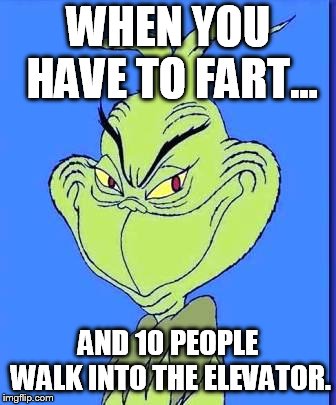 Good Grinch | WHEN YOU HAVE TO FART... AND 10 PEOPLE WALK INTO THE ELEVATOR. | image tagged in good grinch | made w/ Imgflip meme maker