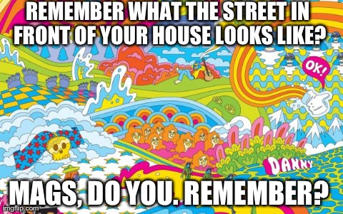 REMEMBER WHAT THE STREET IN FRONT OF YOUR HOUSE LOOKS LIKE? MAGS, DO YOU. REMEMBER? | made w/ Imgflip meme maker