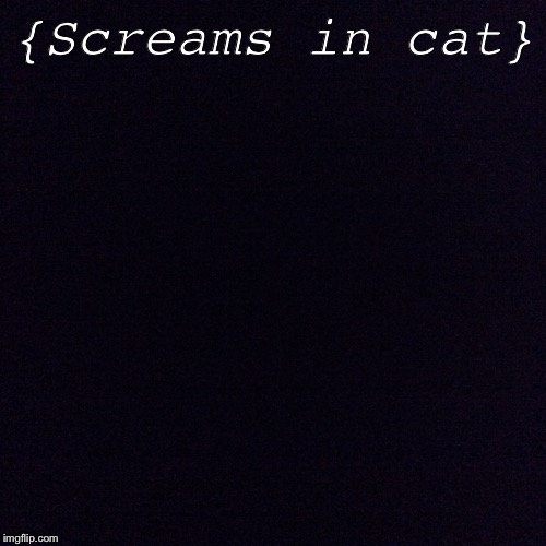 Black screen  | {Screams in cat} | image tagged in black screen | made w/ Imgflip meme maker