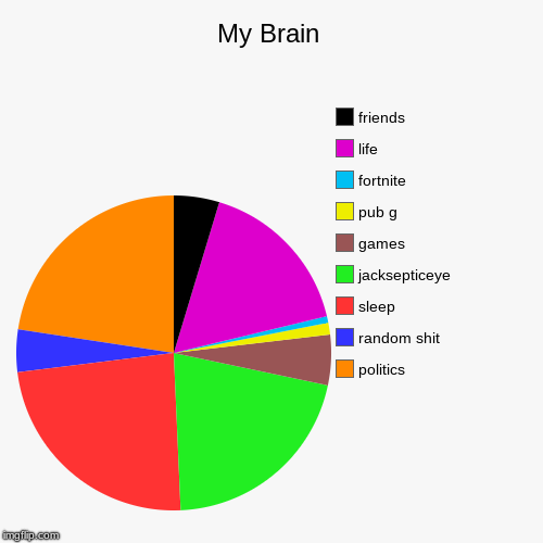 My Brain | politics, random shit, sleep, jacksepticeye, games, pub g, fortnite, life, friends | image tagged in funny,pie charts | made w/ Imgflip chart maker