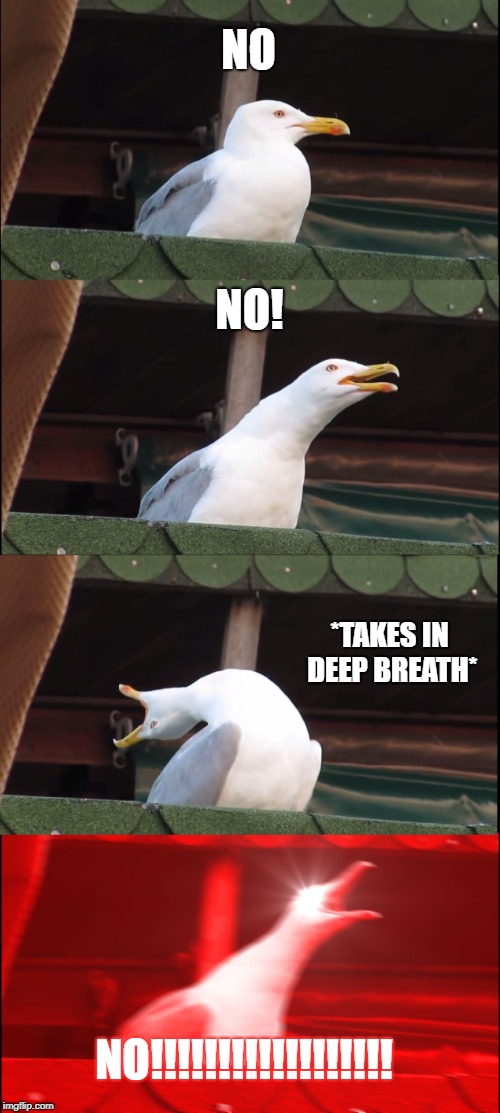 Inhaling Seagull Meme | NO; NO! *TAKES IN DEEP BREATH*; NO!!!!!!!!!!!!!!!!!! | image tagged in memes,inhaling seagull | made w/ Imgflip meme maker