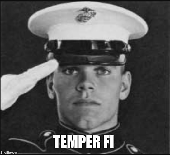 TEMPER FI | made w/ Imgflip meme maker