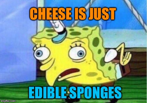 Mocking Spongebob Meme | CHEESE IS JUST EDIBLE SPONGES | image tagged in memes,mocking spongebob | made w/ Imgflip meme maker