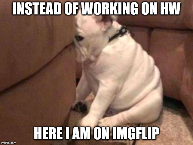 Guilty dog | INSTEAD OF WORKING ON HW HERE I AM ON IMGFLIP | image tagged in guilty dog | made w/ Imgflip meme maker