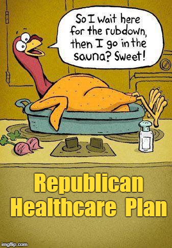 Republican Healthcare Plan | Republican  Healthcare  Plan | image tagged in turkeys,healthcare,republicans,medicare,memes,political meme | made w/ Imgflip meme maker