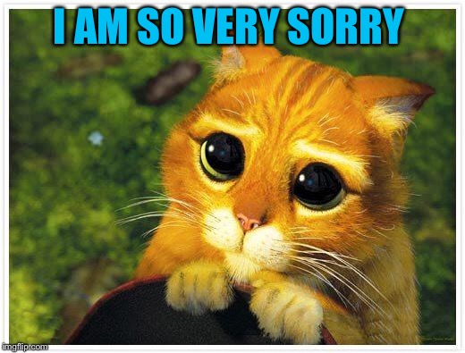 Sorry Kitty | I AM SO VERY SORRY | image tagged in sorry kitty | made w/ Imgflip meme maker
