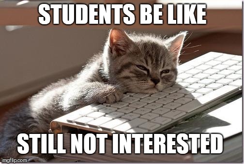 Bored Keyboard Cat | STUDENTS BE LIKE STILL NOT INTERESTED | image tagged in bored keyboard cat | made w/ Imgflip meme maker