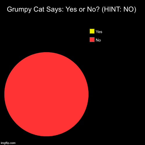 Grumpy Cat Says: Yes or No? (HINT: NO) | No, Yes | image tagged in funny,pie charts | made w/ Imgflip chart maker
