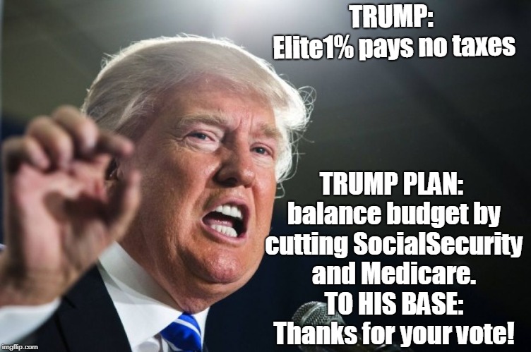 donald trump | TRUMP:  Elite1% pays no taxes; TRUMP PLAN: balance budget by cutting SocialSecurity and Medicare. TO HIS BASE: Thanks for your vote! | image tagged in donald trump | made w/ Imgflip meme maker