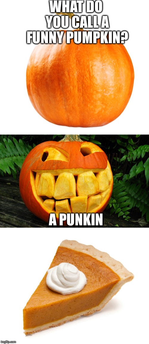 Bad pun pumpkin | WHAT DO YOU CALL A FUNNY PUMPKIN? A PUNKIN | image tagged in jokes,pumpkin,funny | made w/ Imgflip meme maker