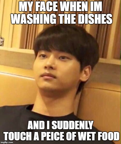 *Internally screaming* | MY FACE WHEN IM WASHING THE DISHES; AND I SUDDENLY TOUCH A PEICE OF WET FOOD | image tagged in wet,food memes,dirty dishes,screaming | made w/ Imgflip meme maker