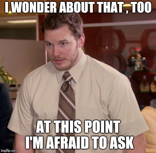 Afraid To Ask Andy Meme | I WONDER ABOUT THAT , TOO AT THIS POINT I'M AFRAID TO ASK | image tagged in memes,afraid to ask andy | made w/ Imgflip meme maker