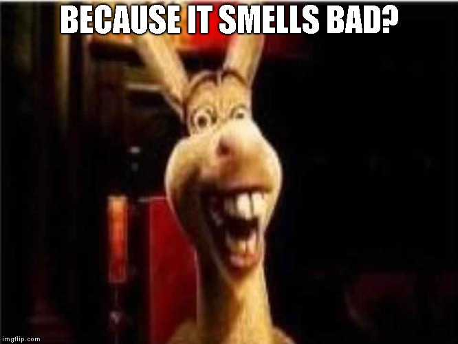 Argument donkey shrek | BECAUSE IT SMELLS BAD? | image tagged in argument donkey shrek | made w/ Imgflip meme maker