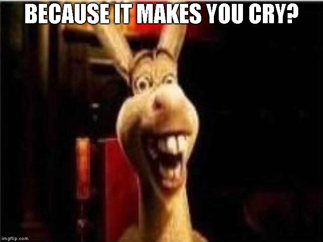 Argument donkey shrek | BECAUSE IT MAKES YOU CRY? | image tagged in argument donkey shrek | made w/ Imgflip meme maker