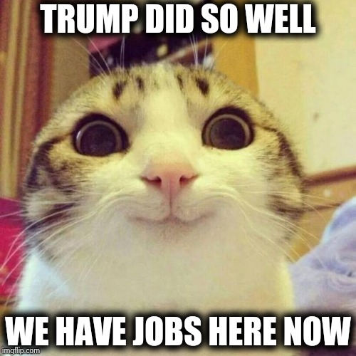 Smiling Cat Meme | TRUMP DID SO WELL WE HAVE JOBS HERE NOW | image tagged in memes,smiling cat | made w/ Imgflip meme maker