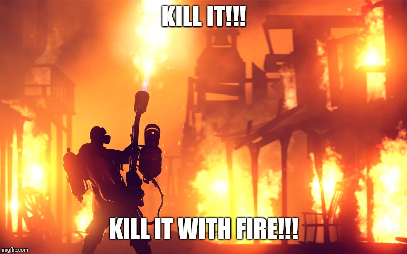 flamethrower guy | KILL IT!!! KILL IT WITH FIRE!!! | image tagged in flamethrower guy | made w/ Imgflip meme maker
