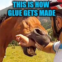 I love animals, but | THIS IS HOW GLUE GETS MADE | image tagged in biting the hand that feeds | made w/ Imgflip meme maker