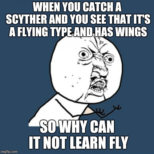 Y U No | WHEN YOU CATCH A SCYTHER AND YOU SEE THAT IT'S A FLYING TYPE AND HAS WINGS; SO WHY CAN IT NOT LEARN FLY | image tagged in memes,y u no | made w/ Imgflip meme maker