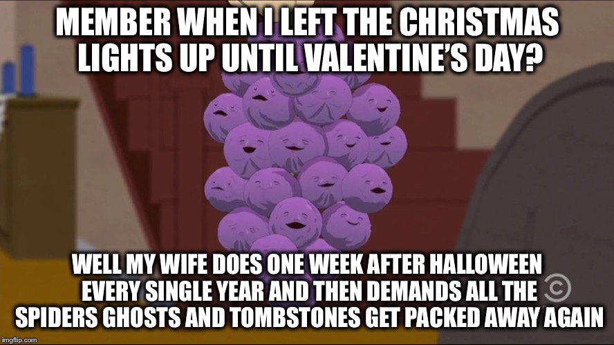 Member Berries Meme | MEMBER WHEN I LEFT THE CHRISTMAS LIGHTS UP UNTIL VALENTINE’S DAY? WELL MY WIFE DOES ONE WEEK AFTER HALLOWEEN EVERY SINGLE YEAR AND THEN DEMANDS ALL THE SPIDERS GHOSTS AND TOMBSTONES GET PACKED AWAY AGAIN | image tagged in memes,member berries | made w/ Imgflip meme maker