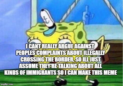 Mocking Spongebob Meme | I CANT REALLY ARGUE AGAINST PEOPLES COMPLAINTS ABOUT ILLEGALLY CROSSING THE BORDER, SO ILL JUST ASSUME THEY'RE TALKING ABOUT ALL KINDS OF IM | image tagged in memes,mocking spongebob | made w/ Imgflip meme maker