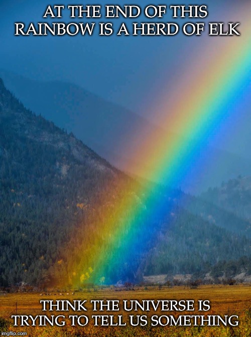 Universal Affirmation | AT THE END OF THIS RAINBOW IS A HERD OF ELK; THINK THE UNIVERSE IS TRYING TO TELL US SOMETHING | image tagged in rainbow,end,herd,elk,universe,tell | made w/ Imgflip meme maker