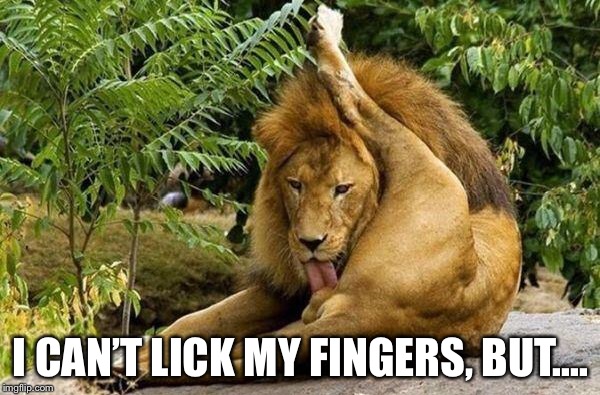 lion licking balls | I CAN’T LICK MY FINGERS, BUT.... | image tagged in lion licking balls | made w/ Imgflip meme maker